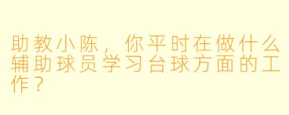 助教小陈，你平时在做什么辅助球员学习台球方面的工作？