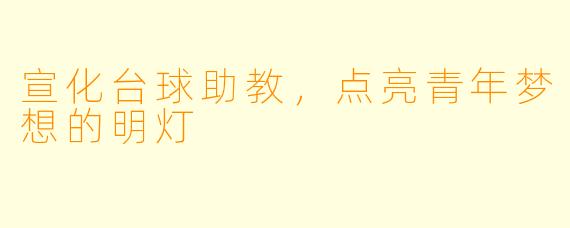 宣化台球助教，点亮青年梦想的明灯