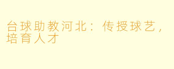 台球助教河北：传授球艺，培育人才