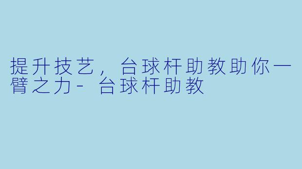 提升技艺，台球杆助教助你一臂之力-台球杆助教