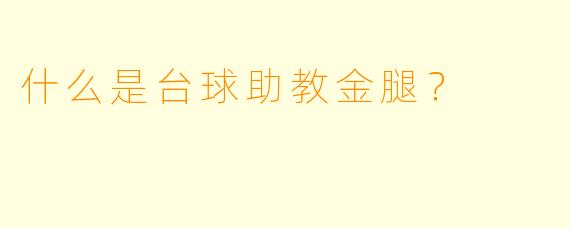 什么是台球助教金腿？