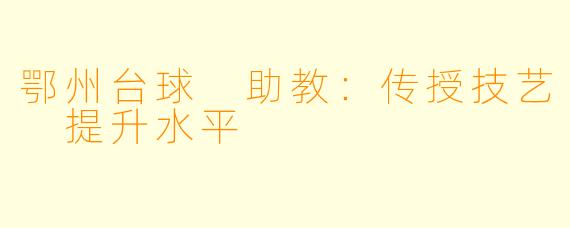 鄂州台球 助教：传授技艺 提升水平