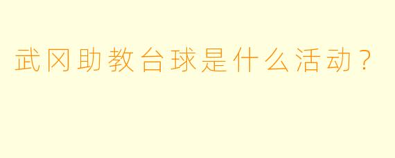 武冈助教台球是什么活动？
