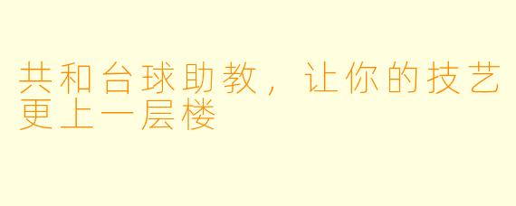共和台球助教，让你的技艺更上一层楼