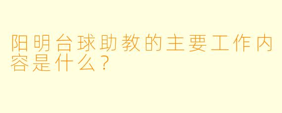 阳明台球助教的主要工作内容是什么？