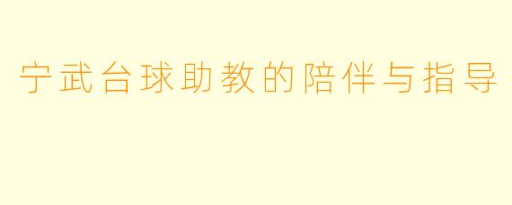 宁武台球助教的陪伴与指导