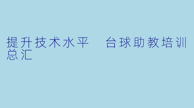 提升技术水平 台球助教培训总汇