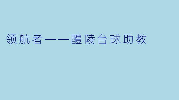 领航者——醴陵台球助教