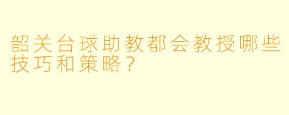韶关台球助教都会教授哪些技巧和策略？