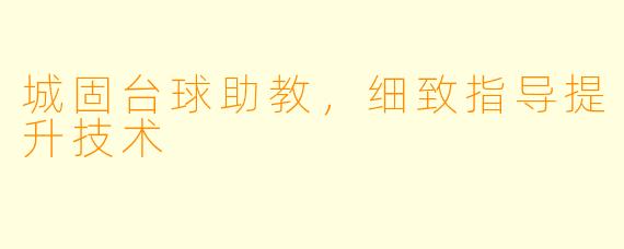 城固台球助教，细致指导提升技术