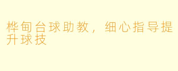 桦甸台球助教，细心指导提升球技