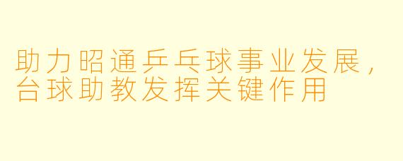 助力昭通乒乓球事业发展，台球助教发挥关键作用