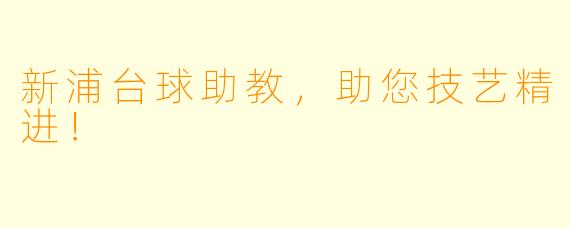 新浦台球助教，助您技艺精进！