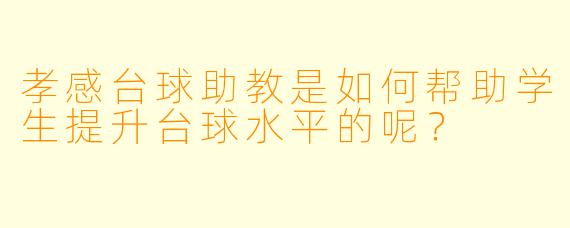 孝感台球助教是如何帮助学生提升台球水平的呢?