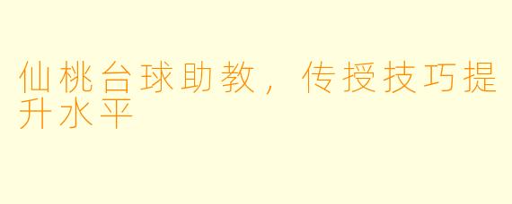 仙桃台球助教，传授技巧提升水平