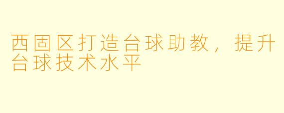 西固区打造台球助教，提升台球技术水平