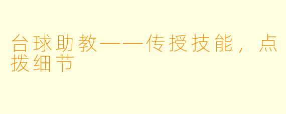 台球助教——传授技能，点拨细节