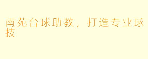 南苑台球助教，打造专业球技