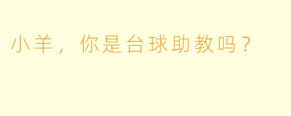 小羊，你是台球助教吗？