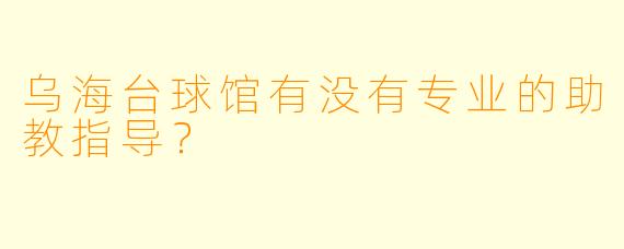 乌海台球馆有没有专业的助教指导？