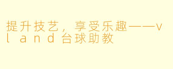 提升技艺，享受乐趣——vland台球助教