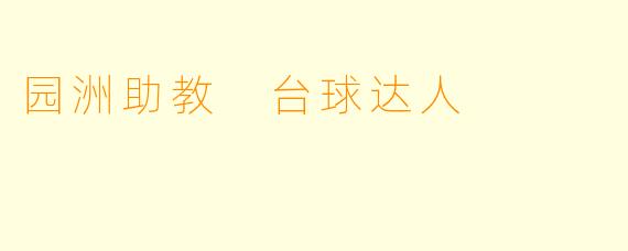 园洲助教 台球达人