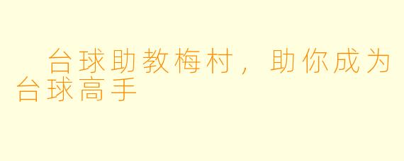  台球助教梅村，助你成为台球高手