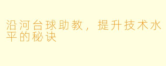 沿河台球助教,提升技术水平的秘诀