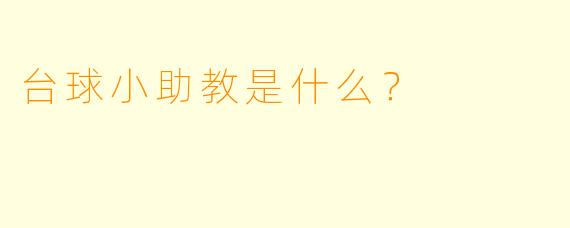 台球小助教是什么？