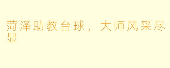 菏泽助教台球，大师风采尽显
