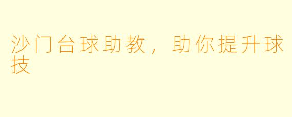 沙门台球助教，助你提升球技