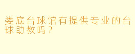 娄底台球馆有提供专业的台球助教吗？