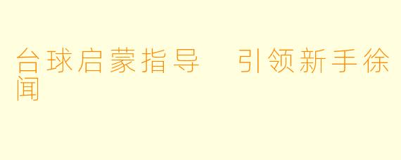 台球启蒙指导 引领新手徐闻