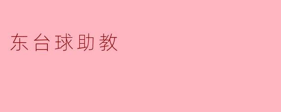 东台球助教有哪些具体的职责和工作内容？