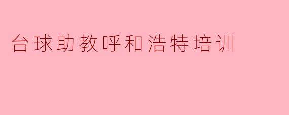 台球助教呼和浩特培训