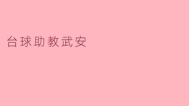 台球助教武安