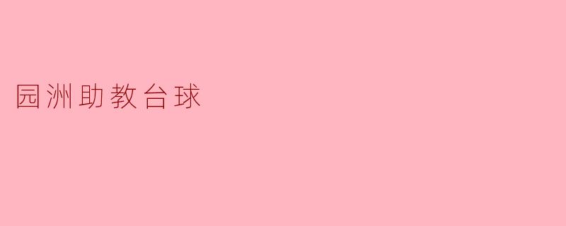 园洲助教 台球达人
