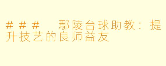 ### 鄢陵台球助教：提升技艺的良师益友
