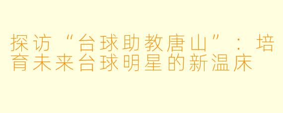 探访“台球助教唐山”:培育未来台球明星的新温床
