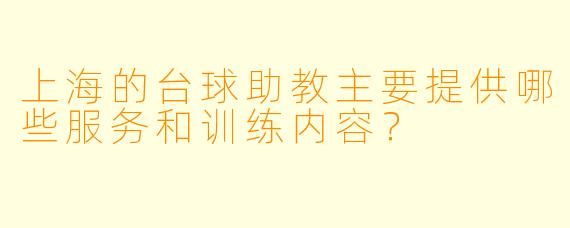 上海的台球助教主要提供哪些服务和训练内容?