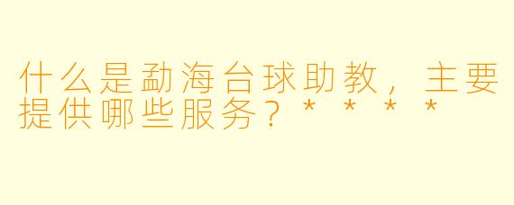 什么是勐海台球助教,主要提供哪些服务?****