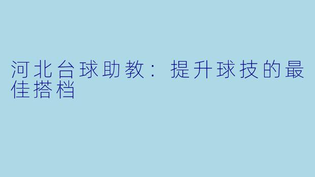 河北台球助教：提升球技的最佳搭档
