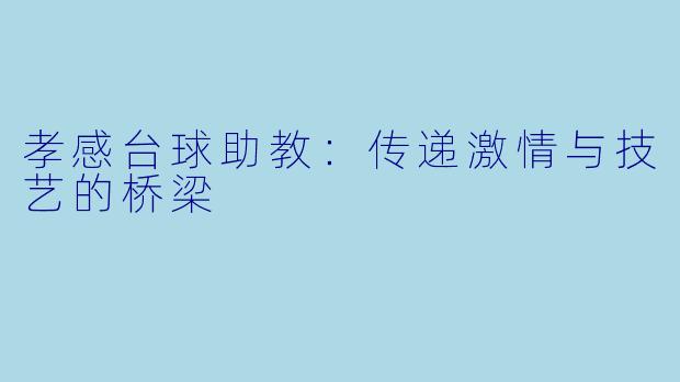 孝感台球助教：传递激情与技艺的桥梁