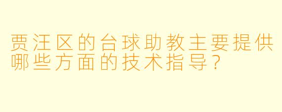 贾汪区的台球助教主要提供哪些方面的技术指导？