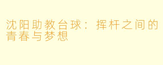 沈阳助教台球:挥杆之间的青春与梦想