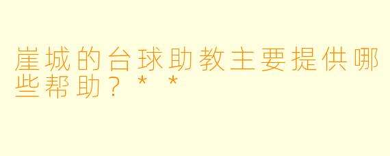 崖城的台球助教主要提供哪些帮助？**