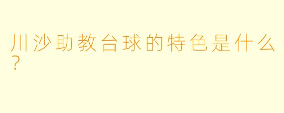 川沙助教台球的特色是什么？