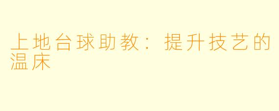 上地台球助教：提升技艺的温床