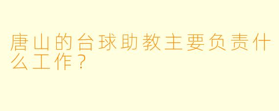 唐山的台球助教主要负责什么工作？