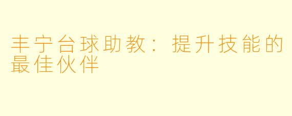 丰宁台球助教：提升技能的最佳伙伴